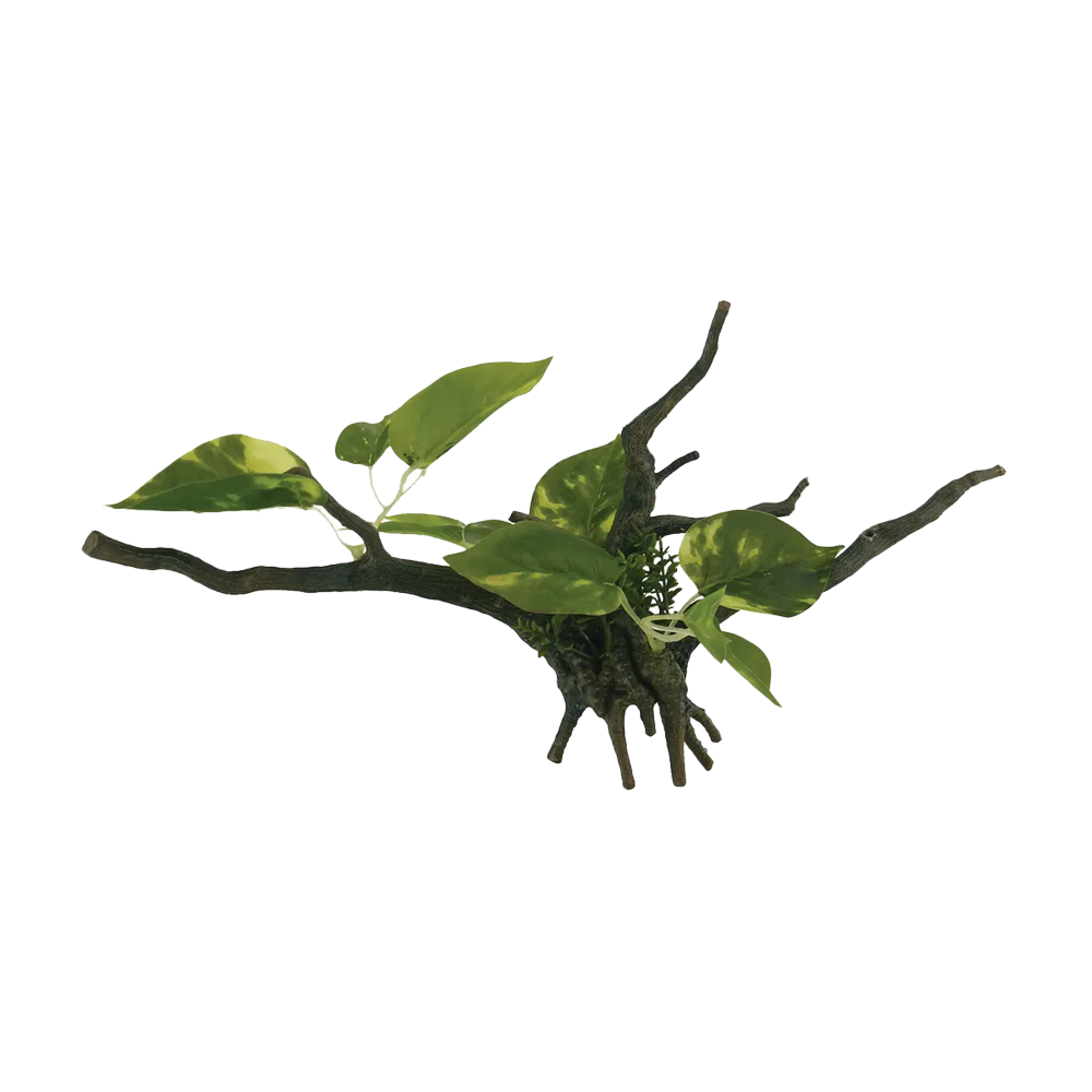 Drivved Planta - 34X15X15 CM | Endast 79 kr! - Zoogiganten