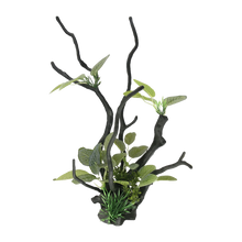 Drivtømmer Plante Akvariedekoration