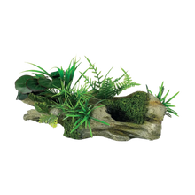 Drivved med Växter - 24X9.5X9.5 CM | Endast 399 kr! - Zoogiganten