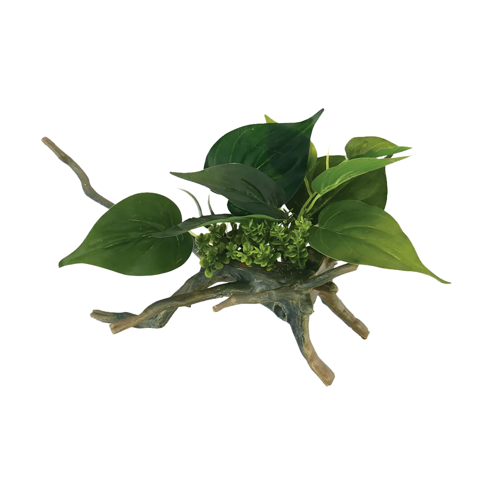 Drivved Planta - 16.5X16.5X24.5 CM | Endast 69 kr! - Zoogiganten