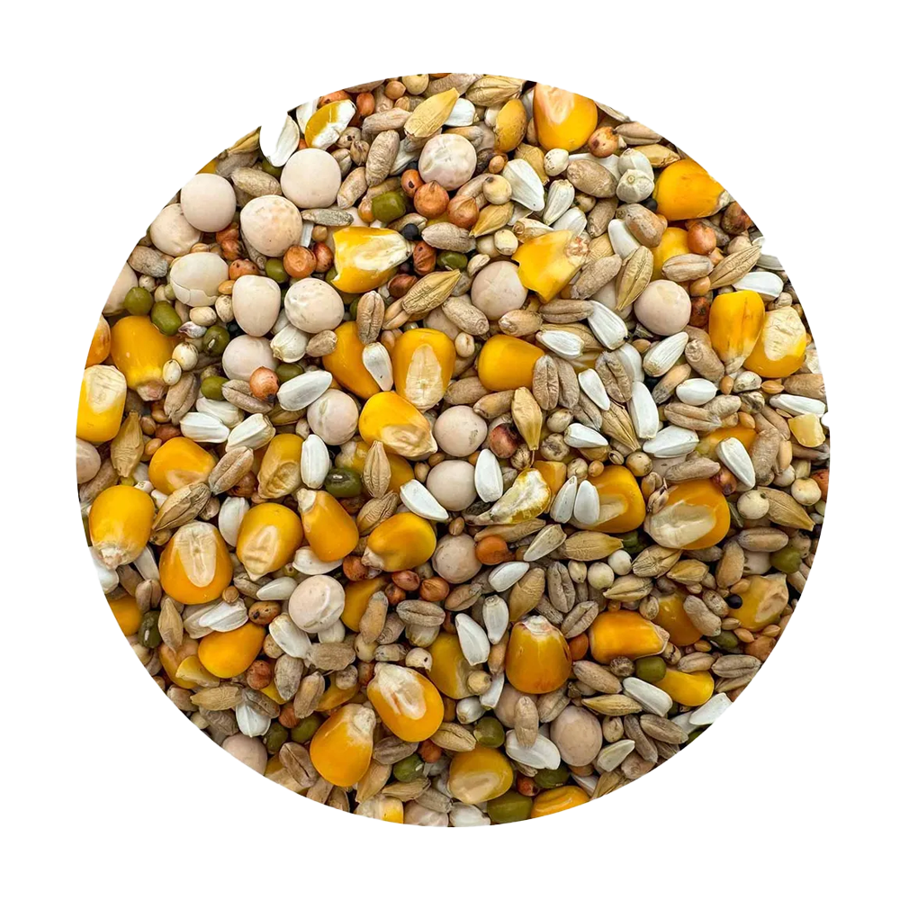 Duvblandning