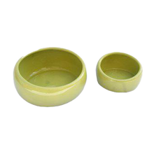 Ergonomisk keramikskål Lime | Endast 59 kr! - Zoogiganten