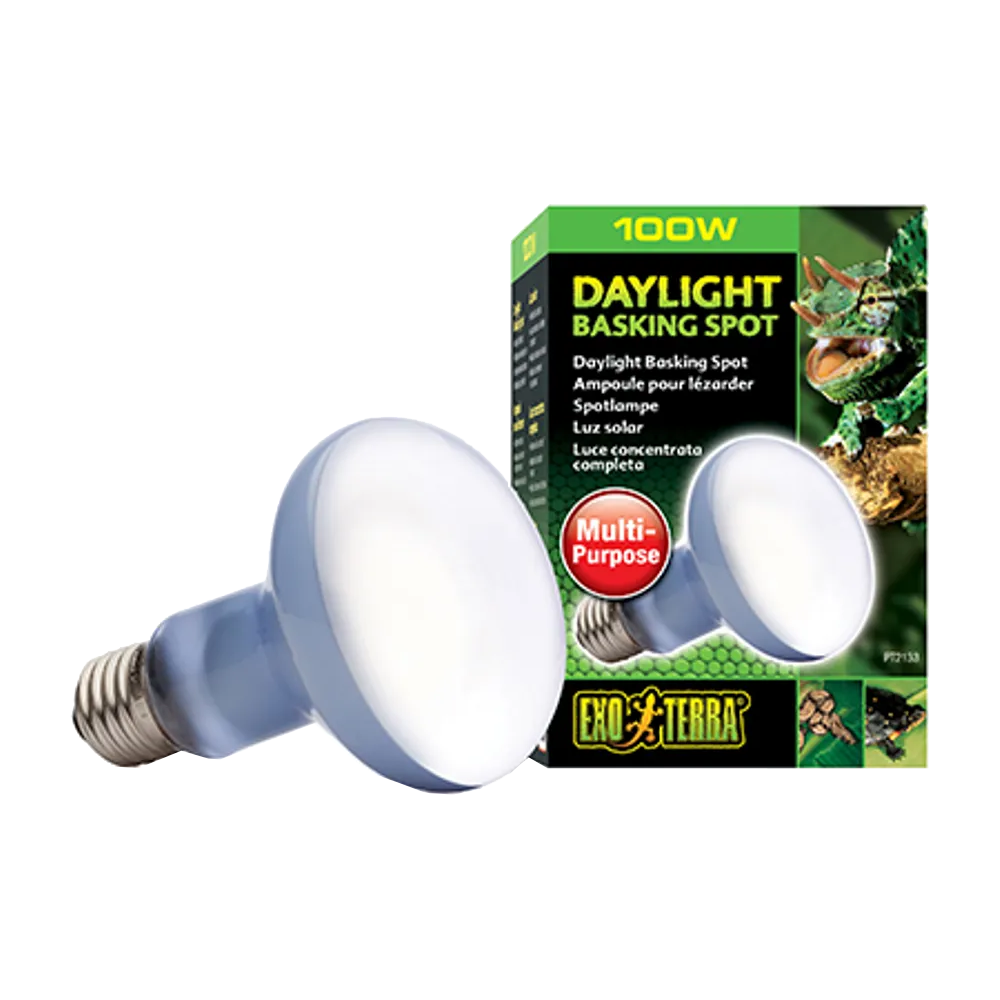 Exoterra Daylight Basking Spot 100W R25 E27 - Grön | Endast 169 kr! - Zoogiganten