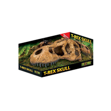 Exoterra T-rex Kranium | Endast 269 kr! - Zoogiganten