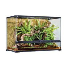 Terrarium Exoterra L Tall - 90X45X60 CM | Endast 5299 kr! - Zoogiganten