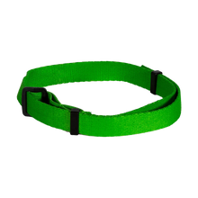 Fästinghalsband Hund