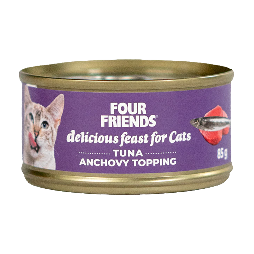 FourFriends Tun &amp; Ansjos - 85 G
