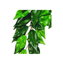 Ficus Plastväxt | Endast 79 kr! - Zoogiganten