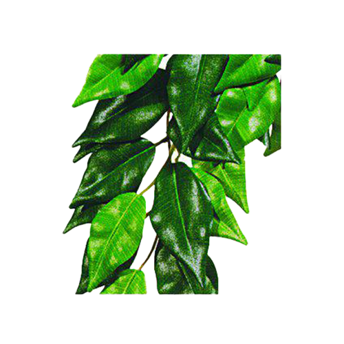 Ficus Plastväxt | Endast 79 kr! - Zoogiganten