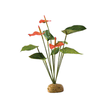 Flamingo Regnsskogsväxt - 20X15X28 CM | Endast 139 kr! - Zoogiganten