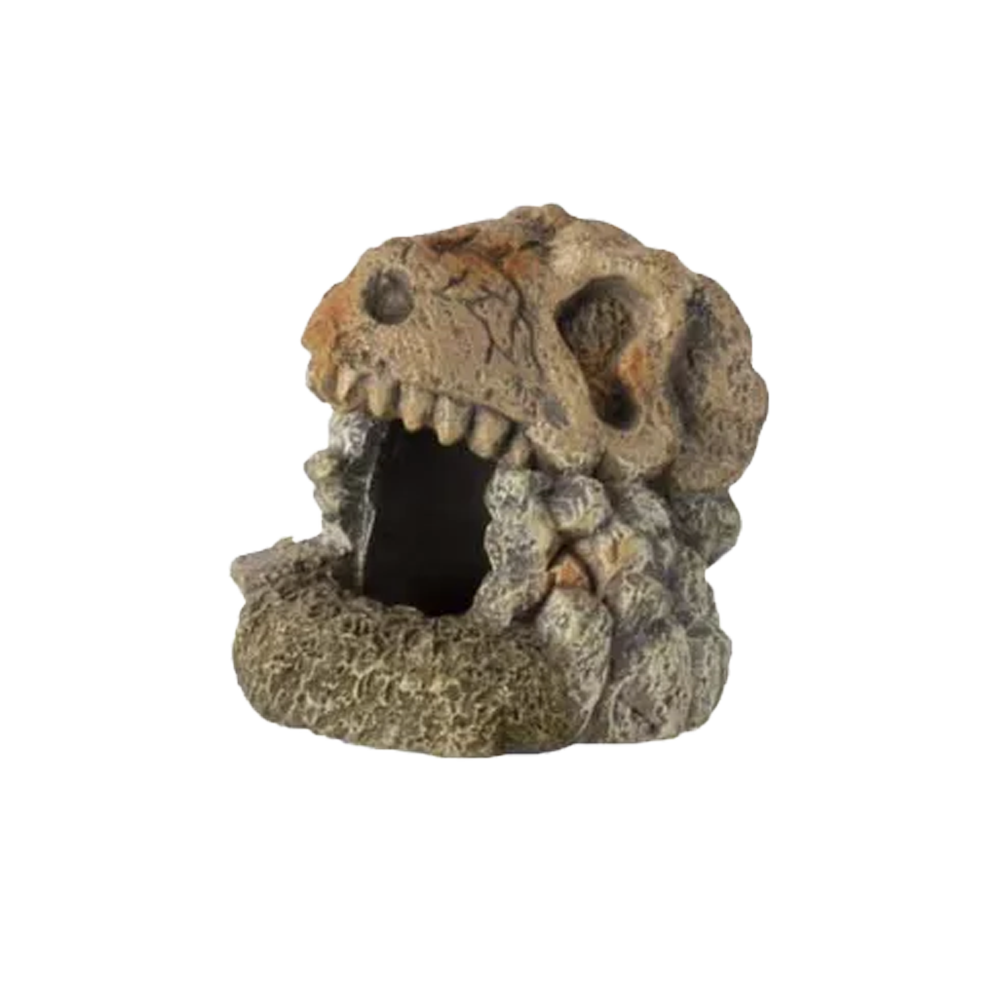 Fossil akvariedekoration - 7X7X7 CM