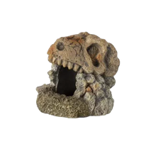 Fossil akvariedekoration - 7X7X7 CM