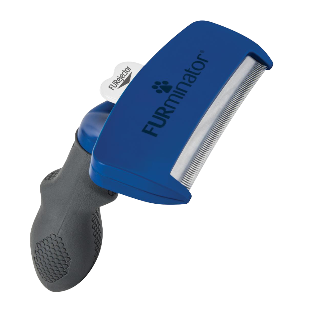 Udrensning af kort hår - Stor