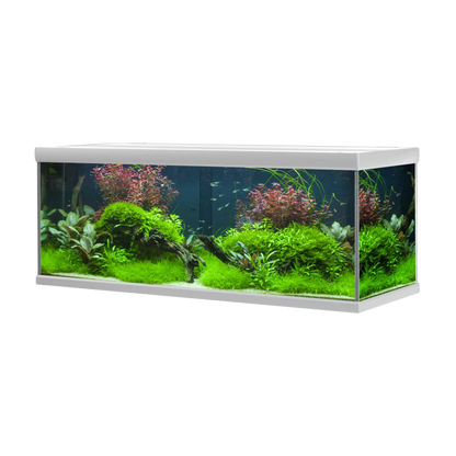 Fusion Akvarium / Sølv Hvid - 160X60X64 CM, 576 L