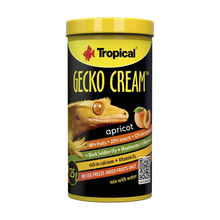 Tropical Gecko Cream Aprikos - 100 ML | Endast 259 kr! - Zoogiganten