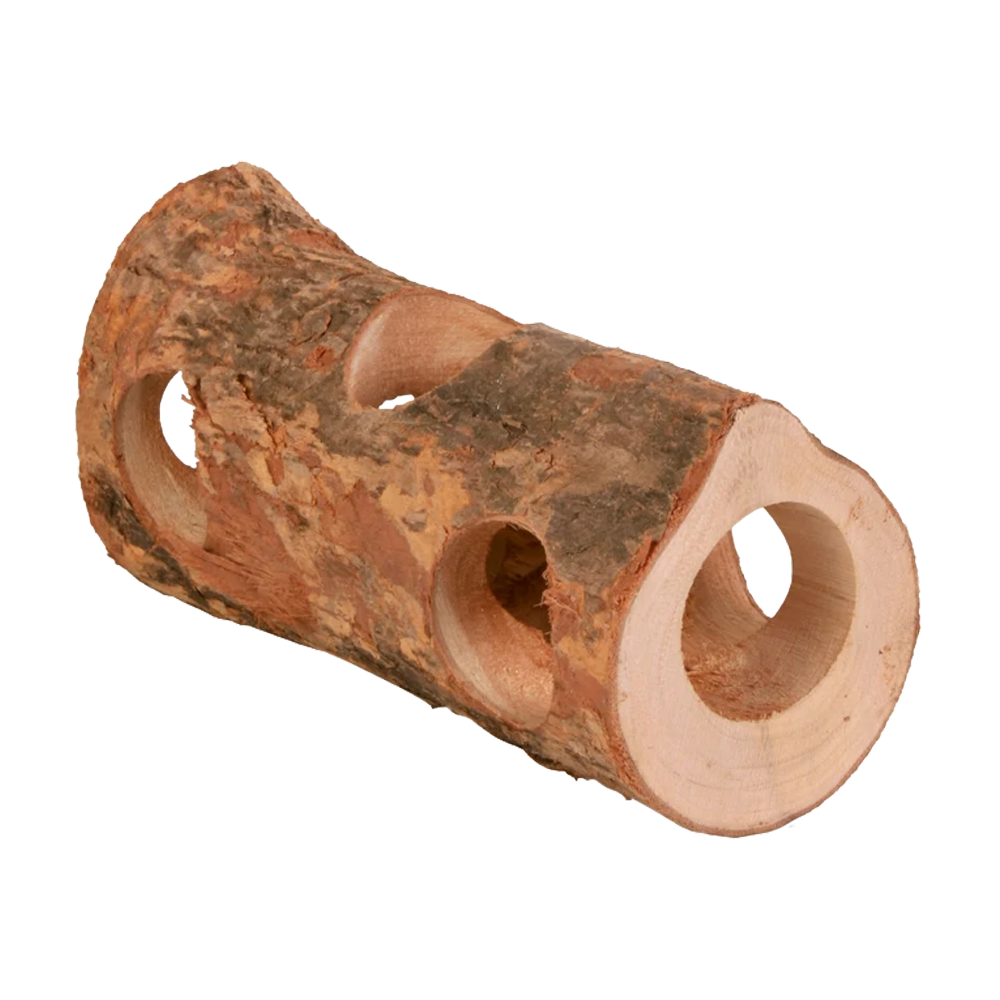 Gnavertunneltræ - 20 cm