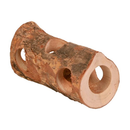 Gnavertunneltræ - 20 cm