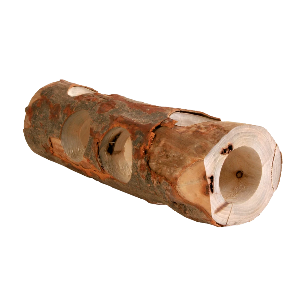 Gnavertunneltræ - 30 cm