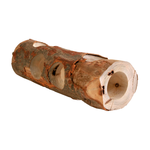 Gnavertunneltræ - 30 cm