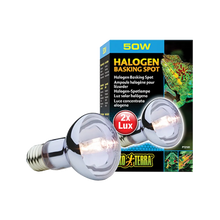 Exoterra Halgon Basking Spot R20 E27 - 50 W | Endast 239 kr! - Zoogiganten