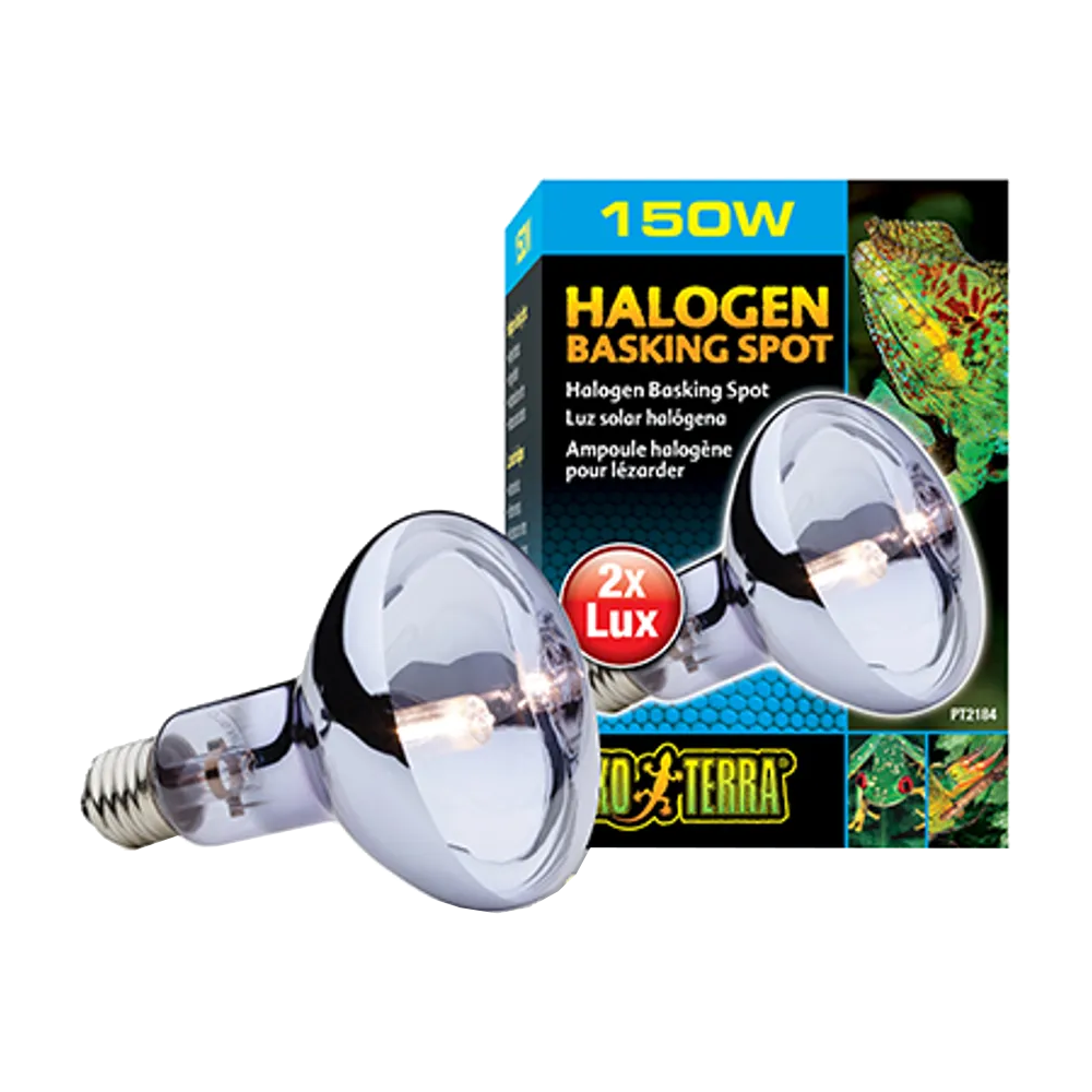 Exoterra Halogen Basking Spot R30 E27 - 150 W | Endast 289 kr! - Zoogiganten