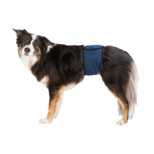 Halsbånd til hanhund mørkeblå