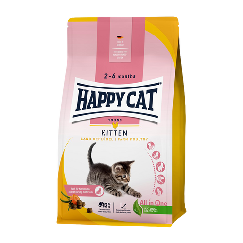 Happy Cat Kitten Fågel