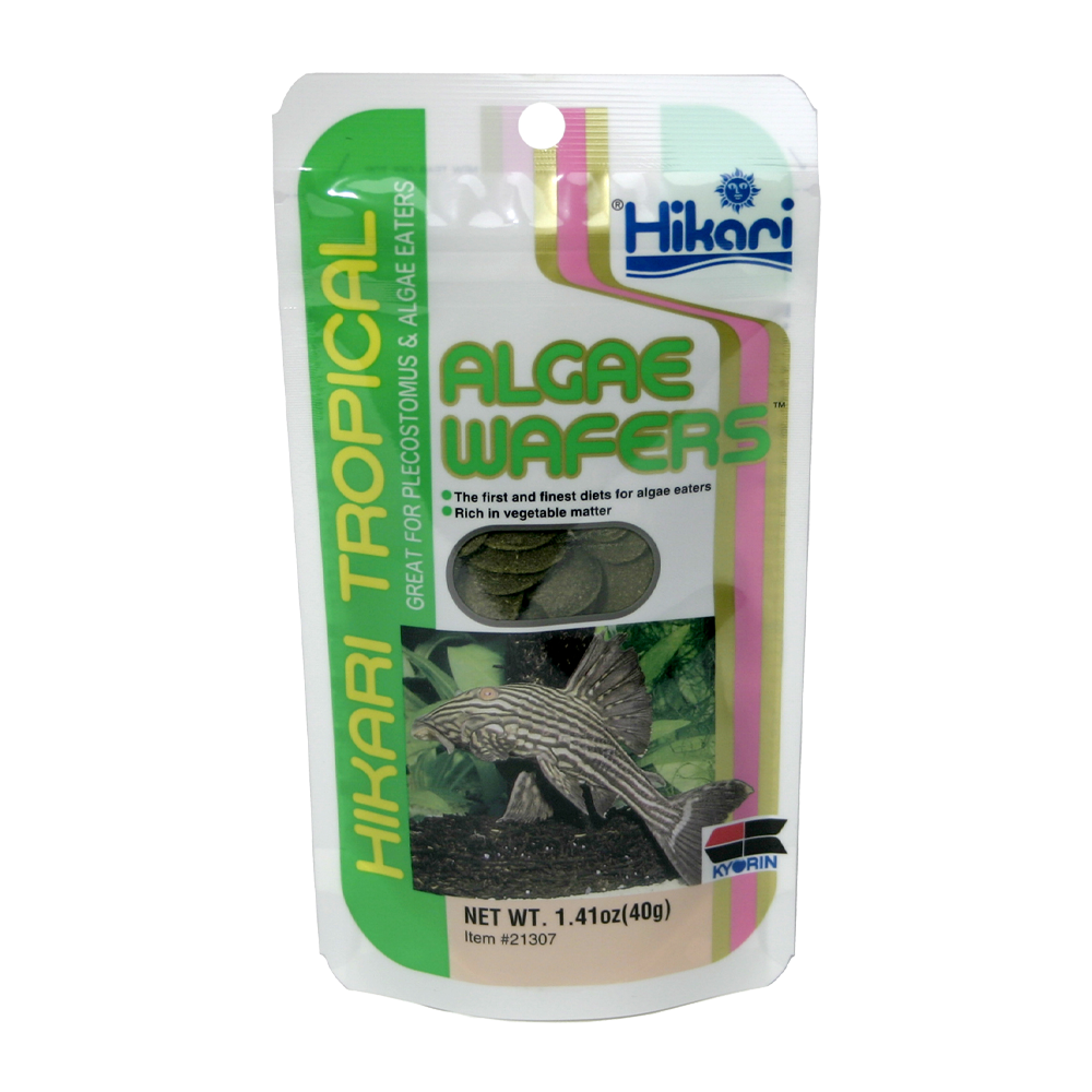 Hikari Algae Wafers | Endast 49 kr! - Zoogiganten