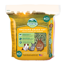 Hö Orchard Grass - 1.13 KG | Endast 259 kr! - Zoogiganten