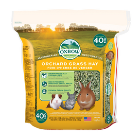 Hö Orchard Grass - 1.13 KG | Endast 259 kr! - Zoogiganten