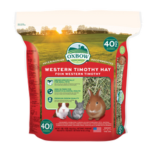 Hö Western Timothy - 1.13 KG | Endast 259 kr! - Zoogiganten