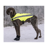 Hundesko Walker Comfort 2-pak Sort