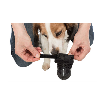 Hundesko Walker Active 2-pak Sort