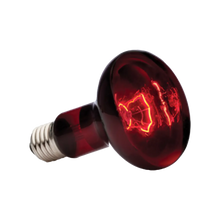 Exoterra Infrared Basking Spot R25 E27 - Röd | Endast 189 kr! - Zoogiganten