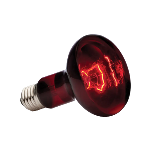 Exoterra Infrared Basking Spot R25 E27 - Röd | Endast 189 kr! - Zoogiganten