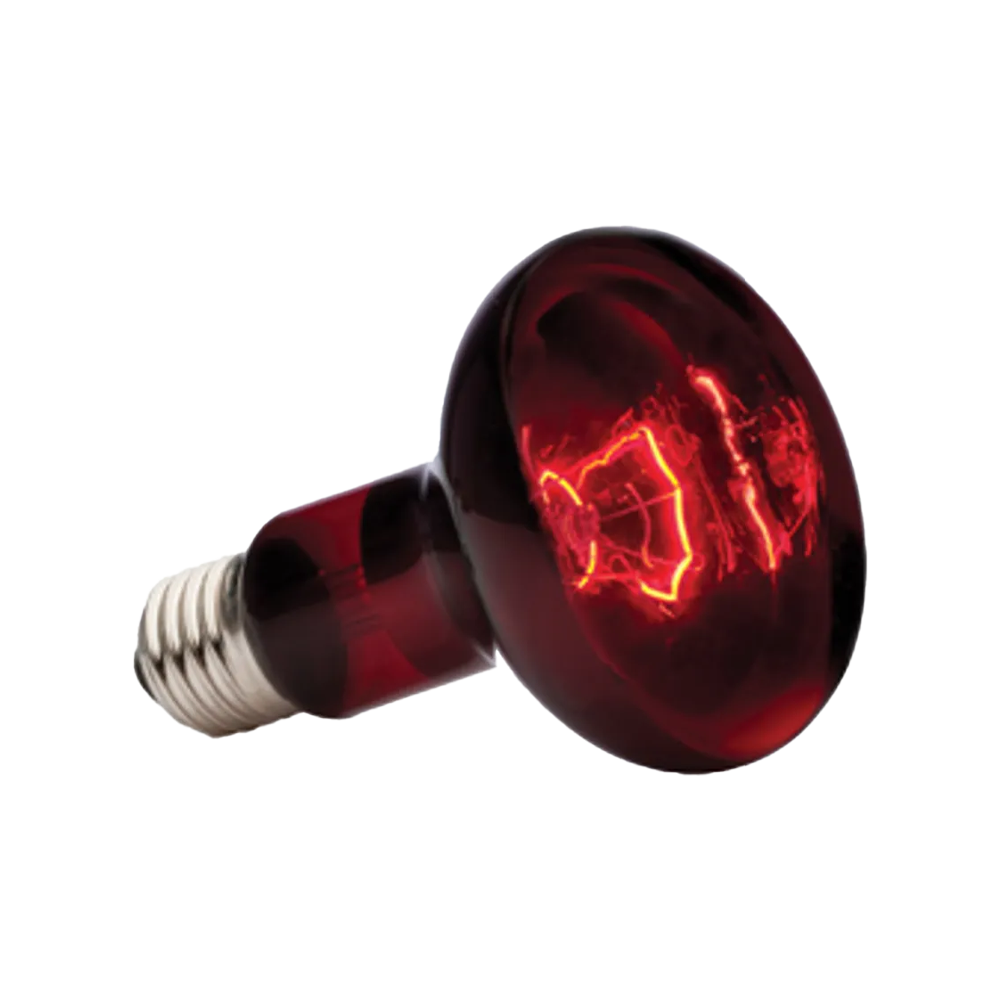 Exoterra Infrared Basking Spot R25 E27 - Röd | Endast 189 kr! - Zoogiganten