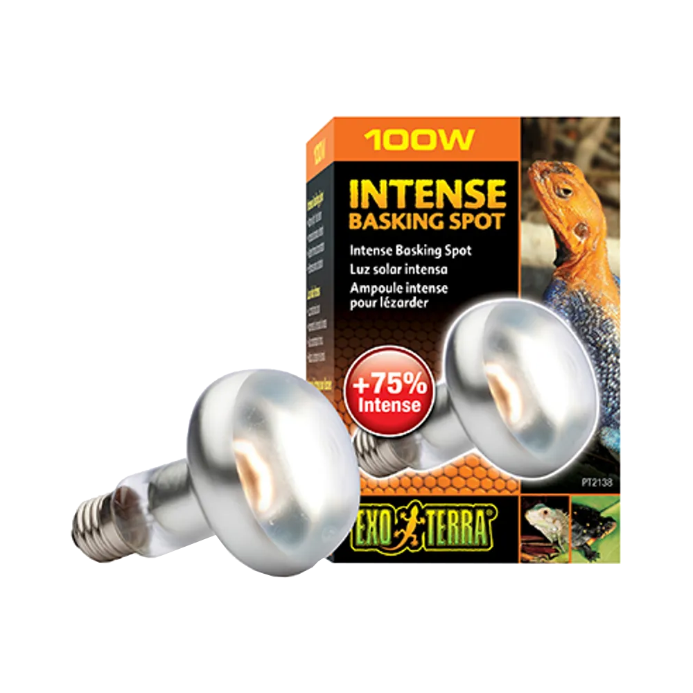 Exoterra Intense Basking Spot S25 E27 Orange - 100W | Endast 119 kr! - Zoogiganten