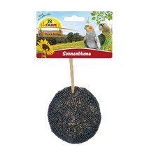 JR Farm Solroshuvud - 30 G | Endast 79 kr! - Zoogiganten