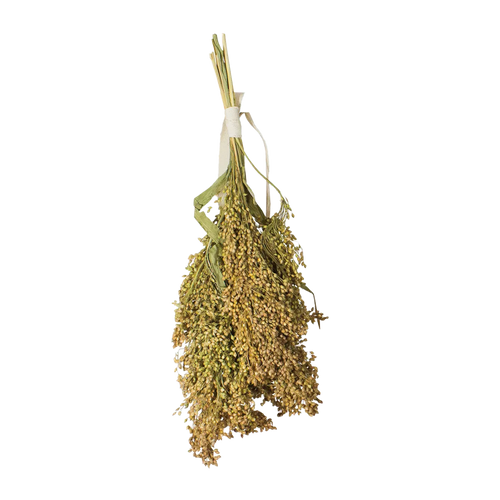 JR Farm Vipphirs - 100 G | Endast 139 kr! - Zoogiganten