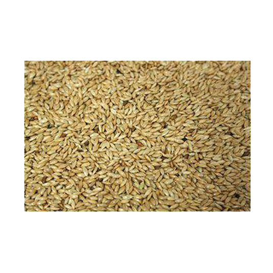 Bello Kanariefrö Rent - 5 KG | Endast 229 kr! - Zoogiganten