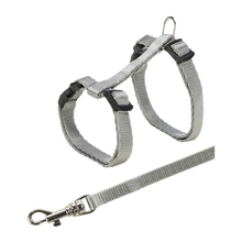 Sele + snor til juniorkatte 19 - 31 cm