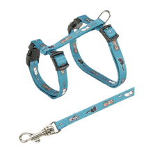 Sele + snor til juniorkatte 21 - 33 cm