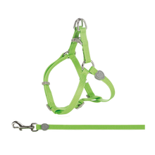 Kattsele + Koppel Nylon - 120 CM | Endast 159 kr! - Zoogiganten