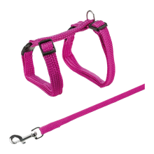 Kattesele + snor 22 - 42 CM