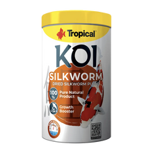 Tropical New Koi Silkworm Dried Pupae - 1000 ML