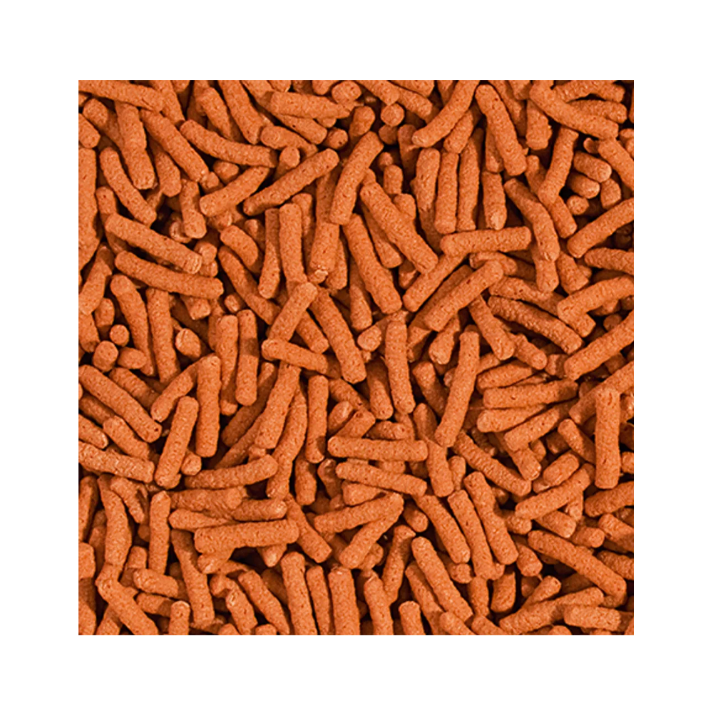 Tropical Koi & Guldfisk Colour Sticks - 5L/400G | Endast 129 kr! - Zoogiganten