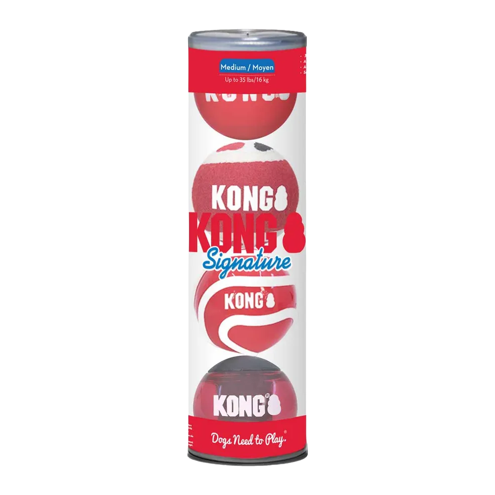 Kong Signature Balls 4-pak Medium Mix - 7 cm