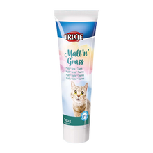 Malt'n'Grass Anti Hairball - 100 G | Endast 69 kr! - Zoogiganten