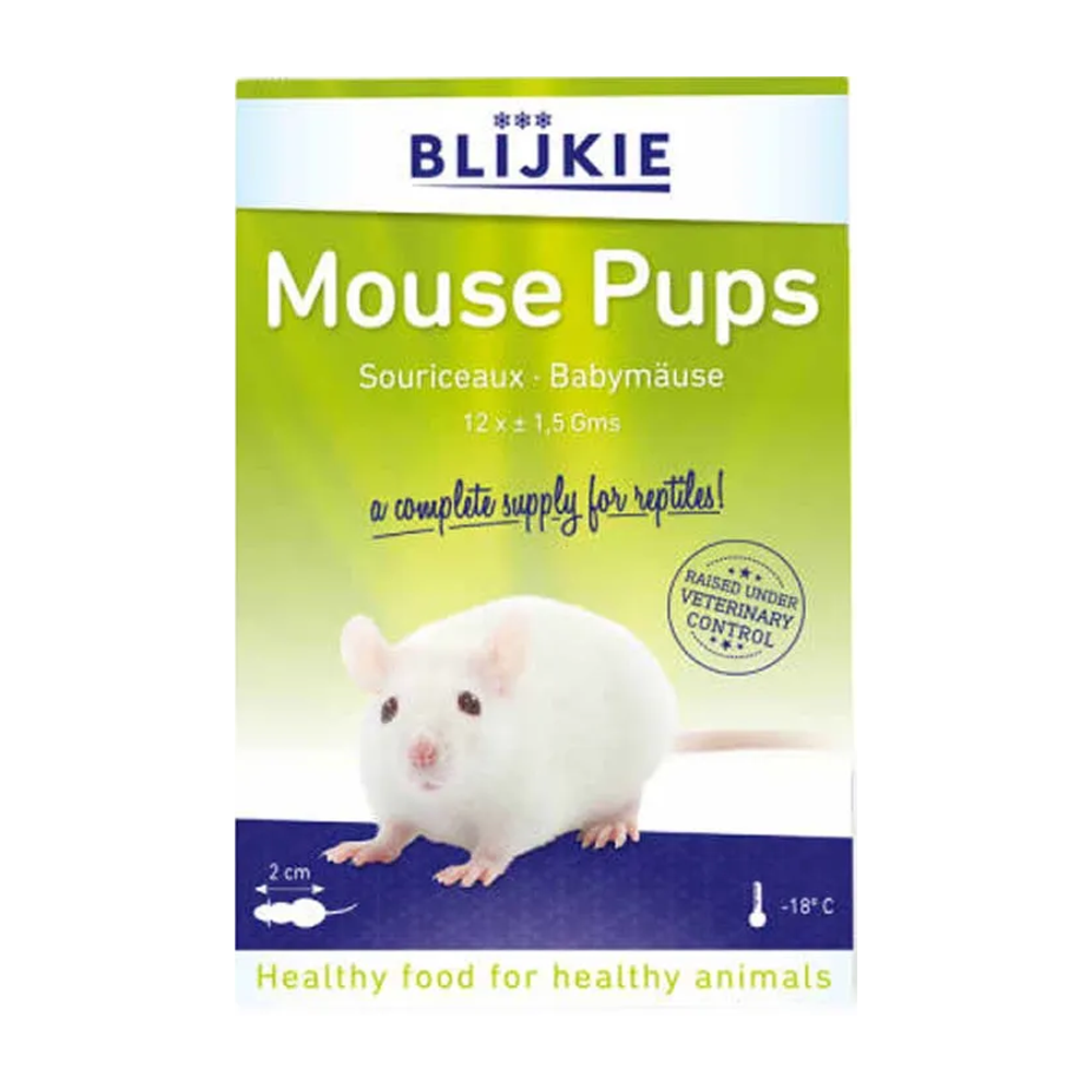 Mouse Pups - 12 Pack | Endast 119 kr! - Zoogiganten