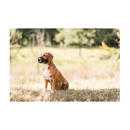 Nylonmunding med net